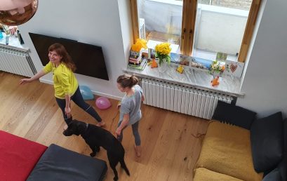 Aktyvus laikas namuose: sugrįžta naminių žingsnių iššūkis