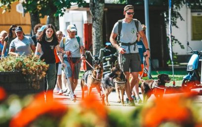 Programėlėje #walk15 speciali iniciatyva – ŠUNŲ ASISTENTŲ IŠŠŪKIS Programėlėje #walk15 speciali iniciatyva – ŠUNŲ ASISTENTŲ IŠŠŪKIS